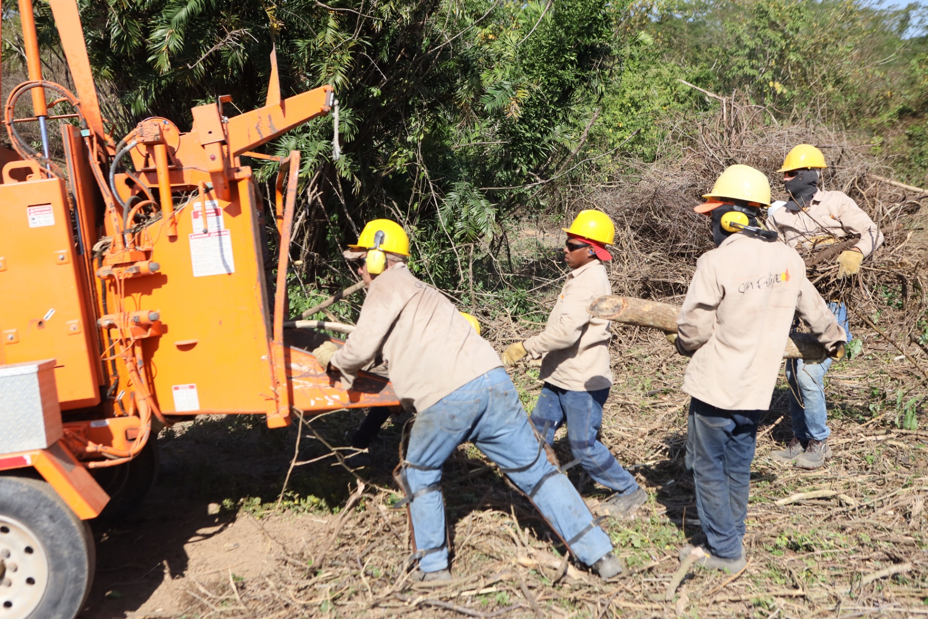 Gestión ambiental de proyectos